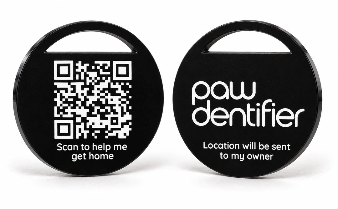 Pawdentifier QR pet ID tag and attachment ring